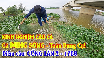 Kinh Nghiệm Câu Cá Dưng (Cá Diếc Lai) Sông |17B8 - CỐNG LÂN 2 Điểm Câu Nước Sâu, Nhiều Cá Dưng Cụ!