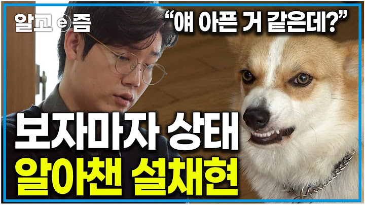 "얘 진짜 아팠나 본데?" 문제견의 문제행동을 보자마자 어디가 아픈지 바로 알아채버린 설채현. 사실 온몸으로 아프단 걸 표현했던 웰시코기｜세상에 나쁜 개는 없다｜알고e즘