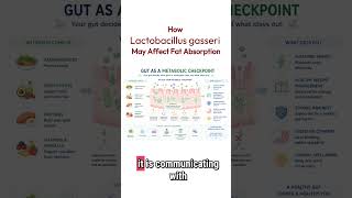 How Lactobacillus gasseri May Affect Fat Absorption