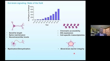 Targeting the Host Microbiome and Metabolome to Reduce Drug-Seeking Behavior