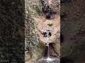 #asmr #hiking #waterfall #urbanwaterfalls
