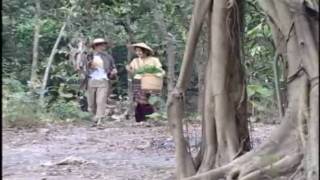 Shan song 7