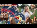 Prepping for Hurricane DORIAN with ALL MY PETS! What's going to happen?!