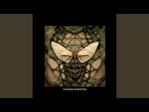 Tonton Шовкопряд di YouTube