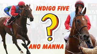Shocking Horse Racing Mix-Up: Ano Manna vs. Indigo Five Wealth