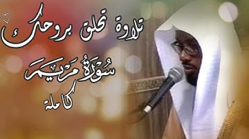 القارئ إبراهيم العسيري يأسر القلوب بتلاوة خاشعة وأداء مميز ومتنوع لسورة مريم كاملة 🤍🍃