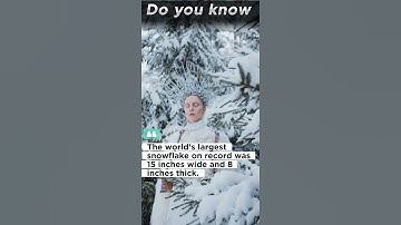 largest snowflake #shortvideo #snowfall