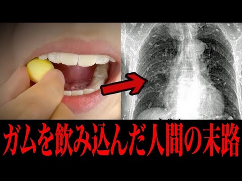 【衝撃】危険すぎる知らないと損する日常で使える雑学がツッコミどころ満載だったwwwwww傑作選#110【なろ屋】【ツッコミ】