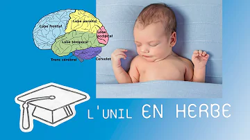 Comment expliquer l'amnésie quasi complète des premières années de notre vie ?