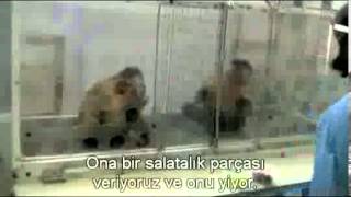 Frans de Waal   Hayvanlarda Ahlaki Davranis