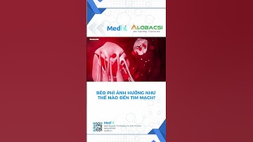 BÉO PHÌ ẢNH HƯỞNG NHƯ THẾ NÀO ĐẾN TIM MẠCH?