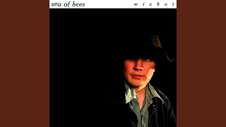 Video thumbnail of "Sea of Bees - Wizbot"