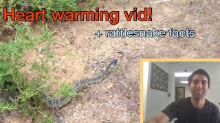 First time a couple sees a rattlesnake! | Reaction + some rattlesnake facts