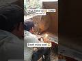 wait for end 😱 #shorts #shortsfeed #shortsviral #shortvideos #trending #viral #reels #jcb #jcbvideo