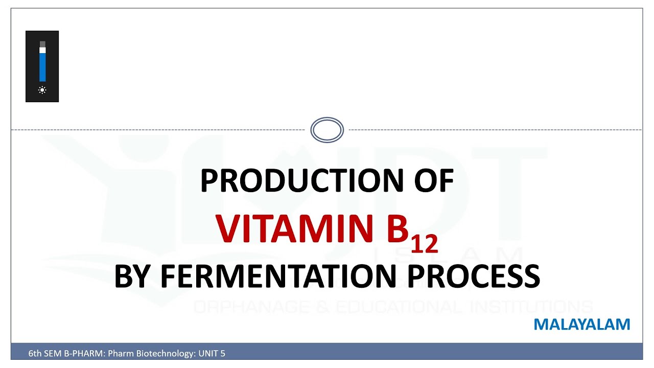 Production of VITAMIN B12 by fermentation process MALAYALAM YouTube