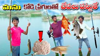 కోడి పేగులతో చేపలు పట్టినం || Chepalu pattuthe || Fishing Hunting | Manu Videos | Telugu Letest All 