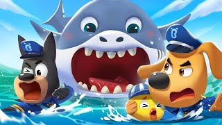 A Big Shark is Coming | Safety Cartoon | Police Cartoon | Sheriff Labrador | Kids Cartoon | BabyBus