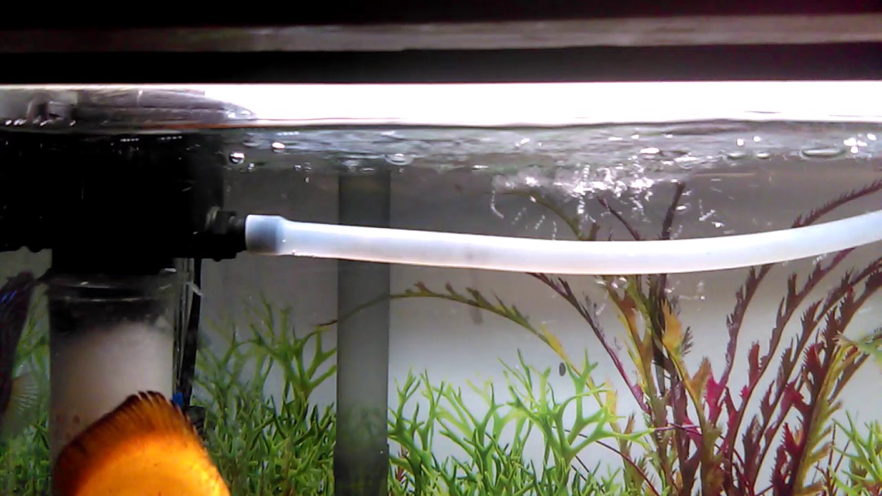 DIY filter floss with a power head and prefilters intake and also