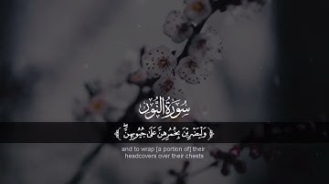✅ سورة(النور) للقارئ --- احمد الشافعي