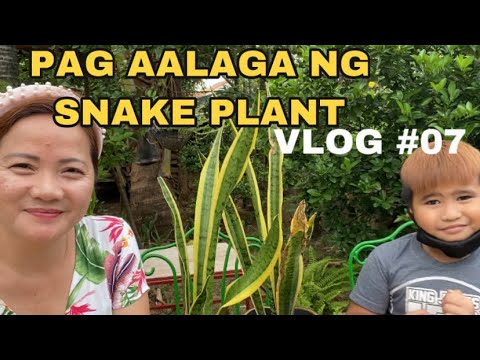 Video: Paano Maiiwasan Ang Iyong Mga Kama Sa Hardin Na Matuyo