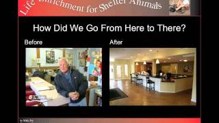 Chapter 3: Life Enrichment for Shelter Animals