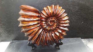 power carving an ammonite shell