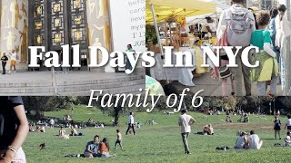 Relaxing Fall Days in NYC | Brooklyn Farmers market | Haircut | Halloween | Relatable Family Life! by Totally Integrated Family 544 views 6 months ago 7 minutes, 45 seconds