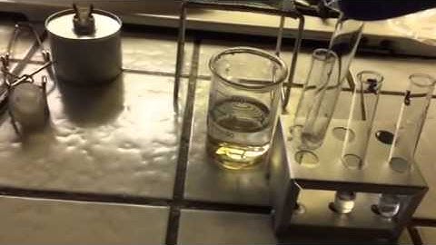 Synthesis of Fragrant Esters Video 4