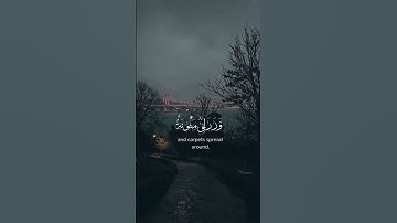 أَفَلَا يَنْظُرُونَ إِلَى الْإِبِلِ كَيْفَ خُلِقَتْ #القران_الكريم #تلاوةخاشعة #عبدالرحمن_مسعد#quran