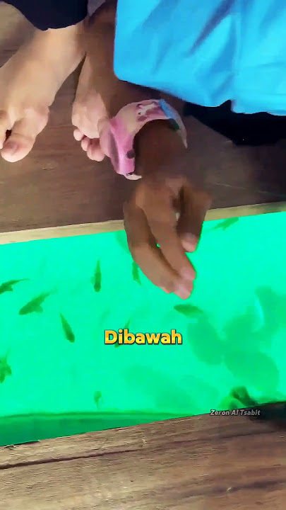 Fishing Inside the House Gets Rice Fish #fishing #fish #fun