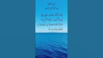 القارئ عبد الودود حنيف حفظه الله.