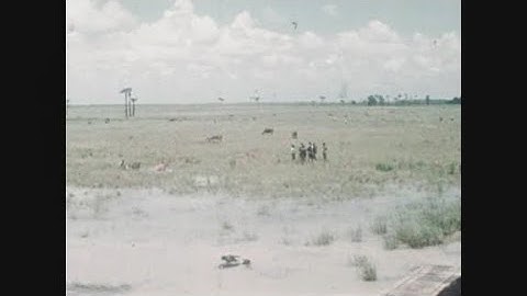 News Item (c369ecc2-0ef6-cfe6-2d9c-c6cc0730a35f)