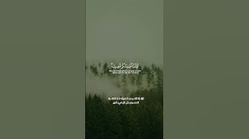 لقد مَنَّ الله على المؤمنين | آل عمران 164#قرآن #Quran #تلاوة #آل_عمران #ذكر #هدى