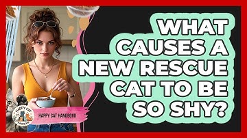 What Causes A New Rescue Cat To Be So Shy? - Happy Cat Handbook