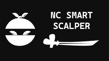NC Smart Scalper for NinjaTrader 8 NinzaRenko Bars Back In Action | NinjaCoding