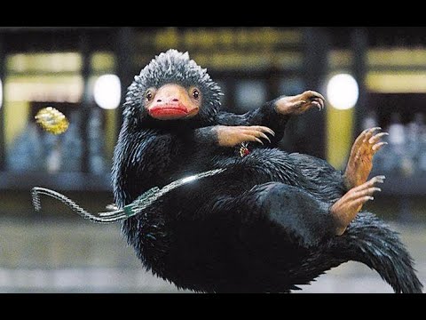 【十一影视】三分钟带你了解《神奇动物在哪里》背后，你不知道的3件事