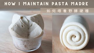 How I Maintain Pasta Madre | 如何喂養野酵硬種 (水式酵母）