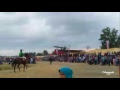 LOMBA PACUAN KUDA HARI KETIGA BABAK FINAL DI DESA KARANGKANDRI KESUGIHAN CILACAP 11 SEPTEMBER 2018
