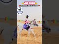 La grande préparation des chevaux de course.