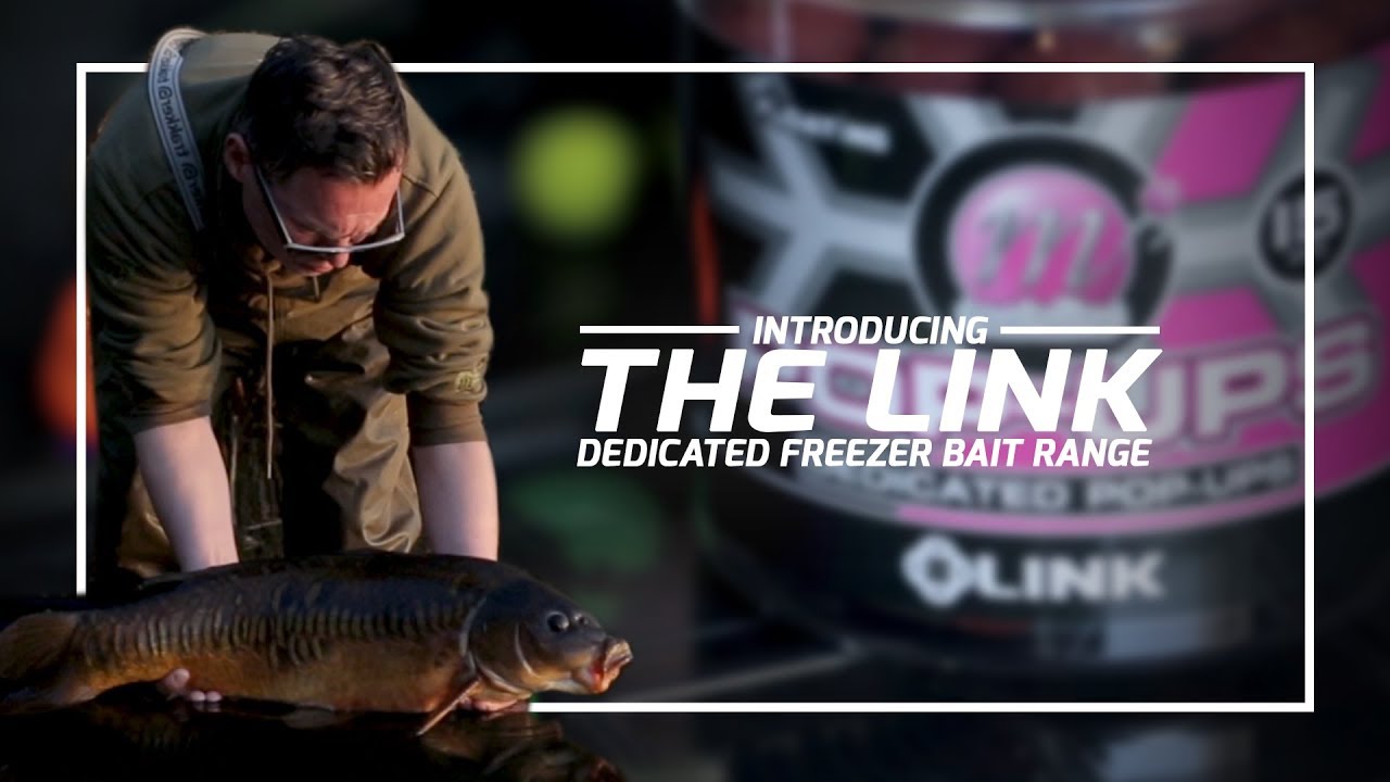 15kg Link Boilies - Bulk Deal