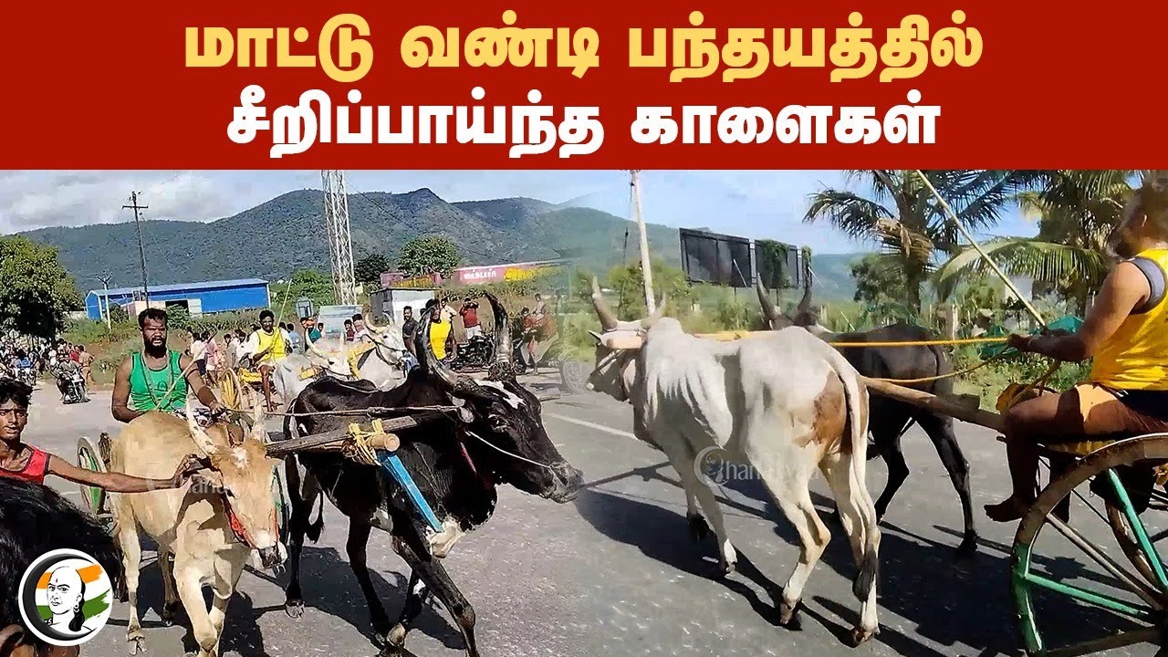 மாட்டு வண்டி பந்தயத்தில் - சீறிப்பாய்ந்த காளைகள் | Theni | Cumbum | Rekla Race