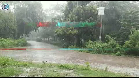 A Beautiful Rainy Day || Jannat Sristy || BRUR Campus