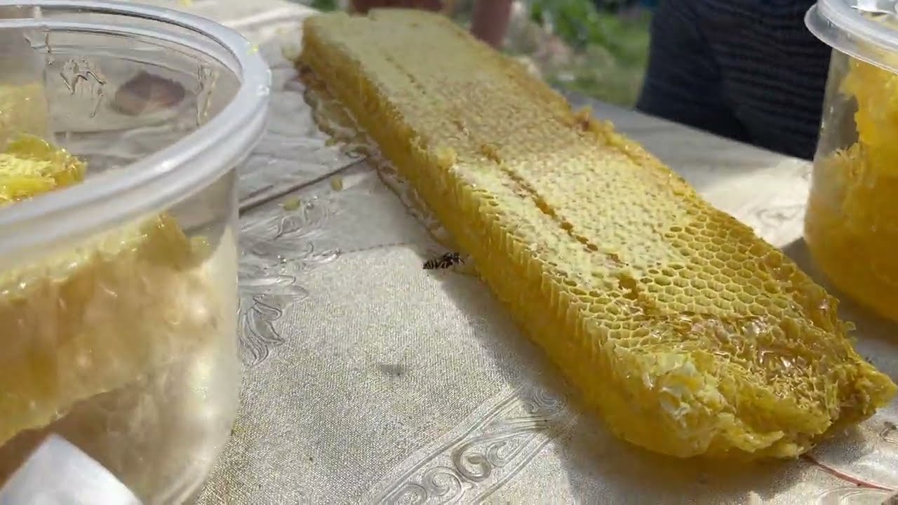 Honey harvesting in the mountains | How to harvest honey | Kyrgyzstan , Сбор меда в горах