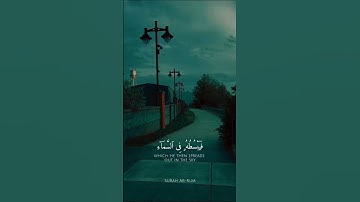 تلاوة مباركة خاشعة بصوت يلامس القلوب #القران #اكسبلور #المصحف #راحة_نفسية #حالات_واتس #خطبه #لايك
