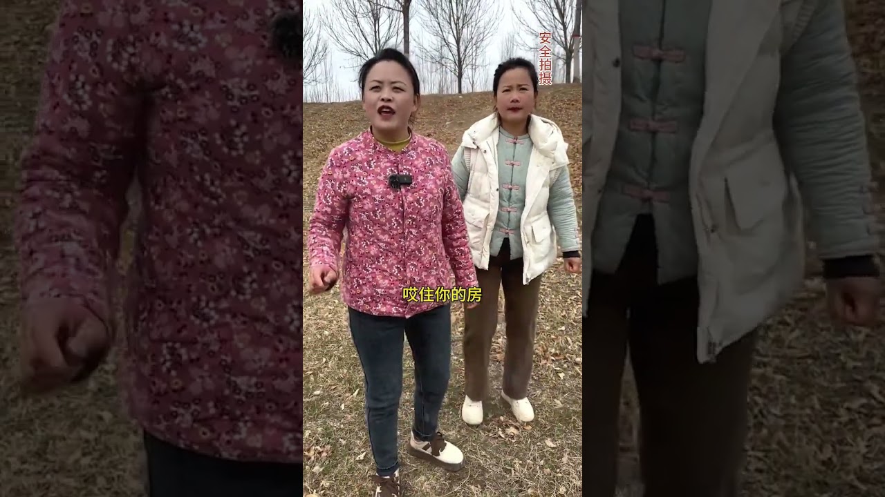 In-Laws Unveiled: A Heartwarming Rural Mother-Daughter-in-Law Story (中文：婆媳情缘：乡村婆媳温馨故事