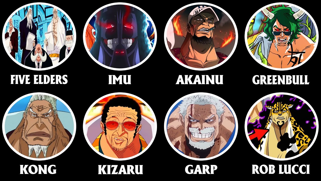 Tất Cả Các Chiến Binh Nguy Hiểm Thuộc Chính Phủ Thế Giới Trong One Piece Giải Thích Trong 21 Phút