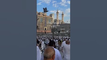 #بسم_الله_الرحمن_الرحيم #آيات #قرآن #اكسبلور #دويتو #لايك #ترند #تيك_توك