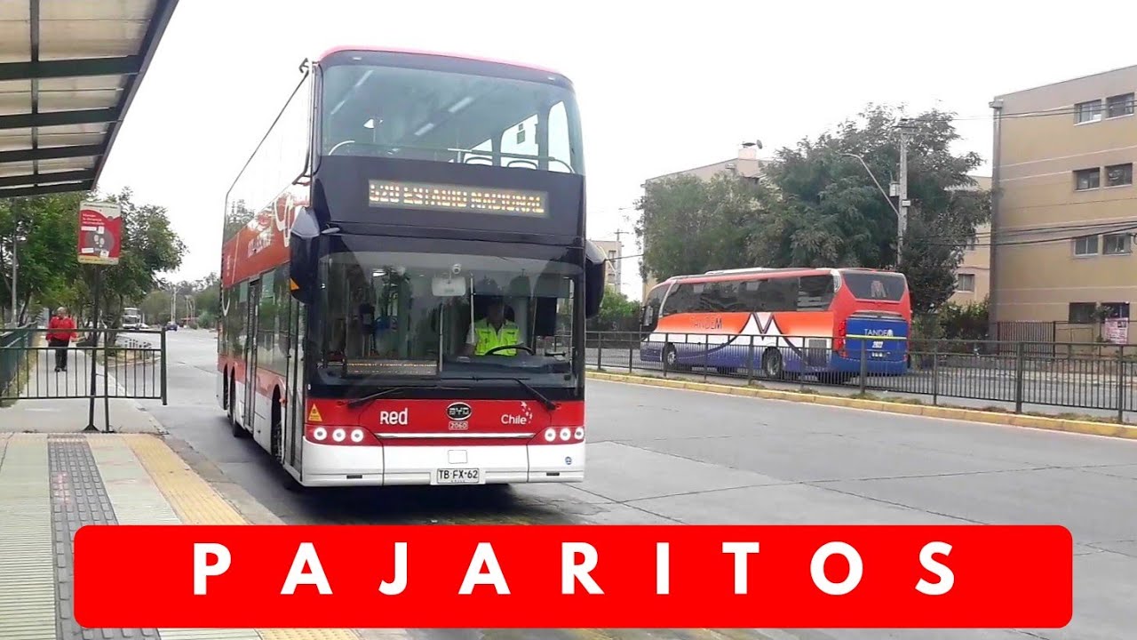 Compilado de Buses Red: Metro Pajaritos.