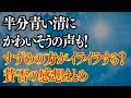 半分青いの清にかわいそうの声!すずめの方がイライラと賛否の感想とは?