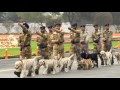 Indian security forces' dog squad at CISF Raising day - Delhi